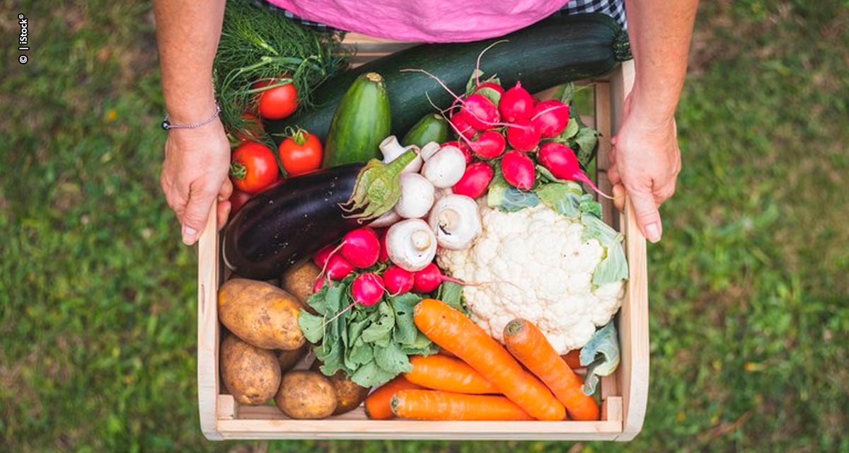 Grupo de Trabalho do Mapa propõe estratégias para o combate às perdas e ao desperdício de alimentos