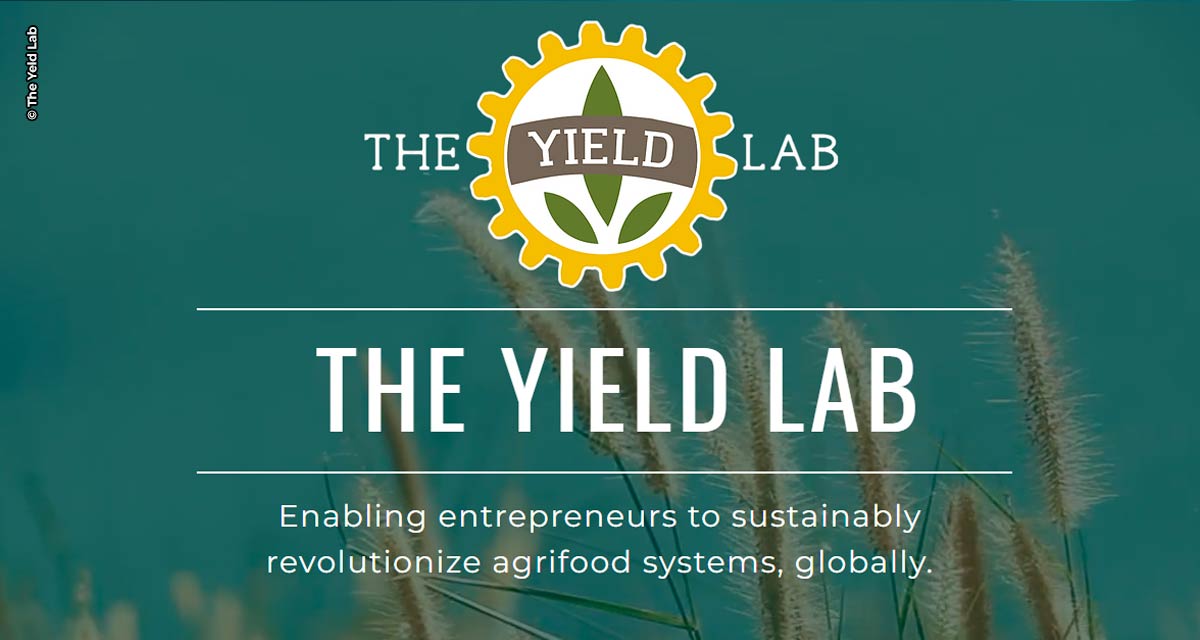 Yield Lab Latam avança pela América Latina e faz investimento inédito em empresa colombiana