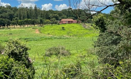 Preservação ambiental é nova fonte de renda para produtor rural