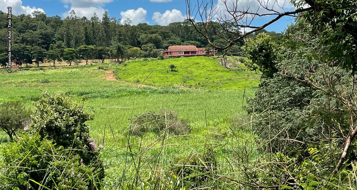 Preservação ambiental é nova fonte de renda para produtor rural