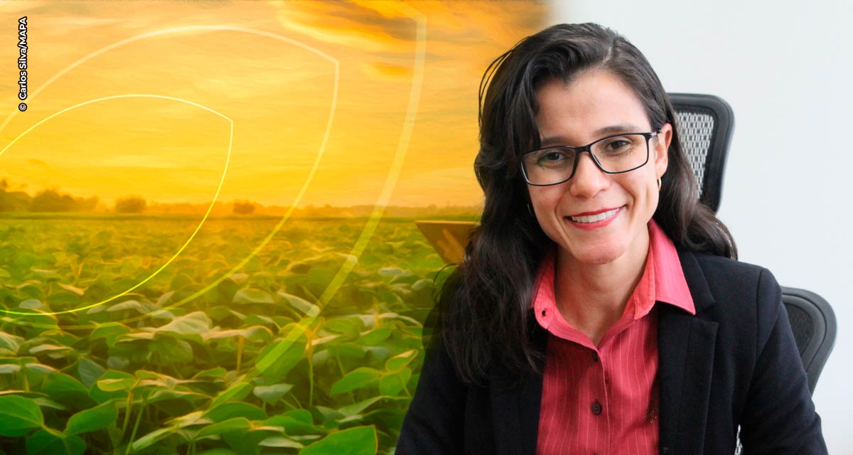 Programa AgroHub Brasil amplia soluções de inovação e tecnologia no campo