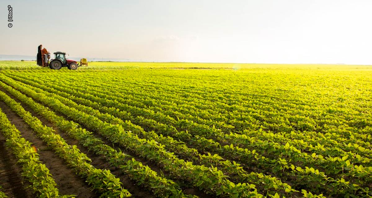 Valor da Produção Agropecuária de 2022 é estimado em R$ 1,188 trilhão