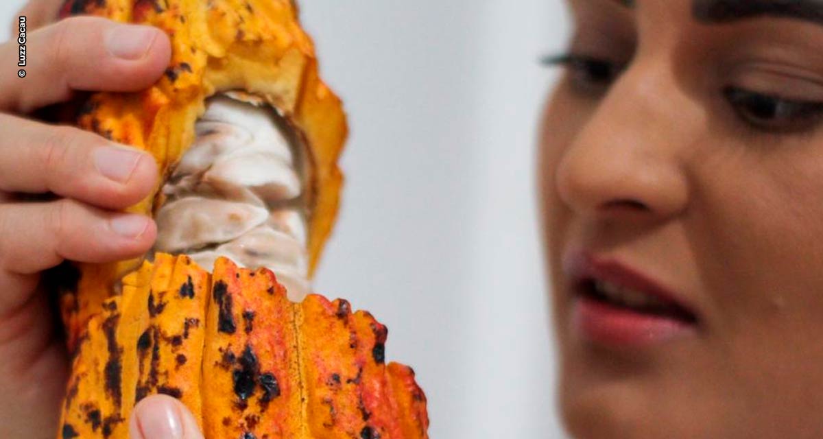 Dia do Nordestino: Empreendedora baiana transforma os grãos do cacau do pai em chocolate na periferia de São Paulo