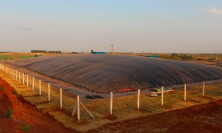 Biodigestor é alternativa sustentável e  rentável aos produtores e agroindústrias