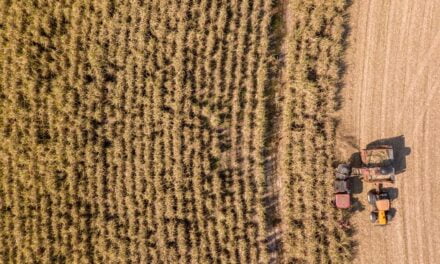 Bonsucro Global Week: Orplana participa de painel mostrando como o mundo pode aprender com os produtores de cana-de-açúcar do Brasil