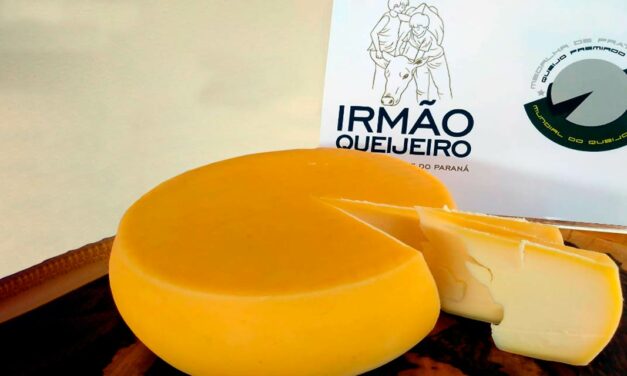 Do campo à mesa: sudoeste do Paraná torna-se referência em queijos artesanais