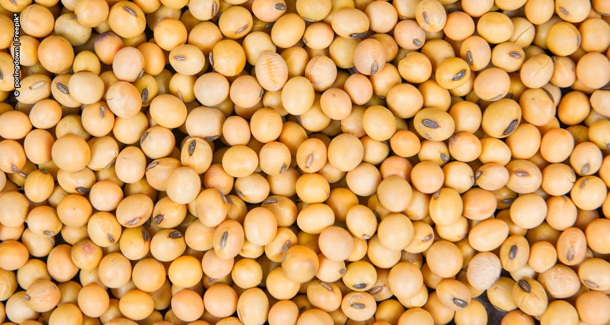 DATAGRO: comercialização da soja brasileira safra 2021/22 chega a 87,7% da produção esperada