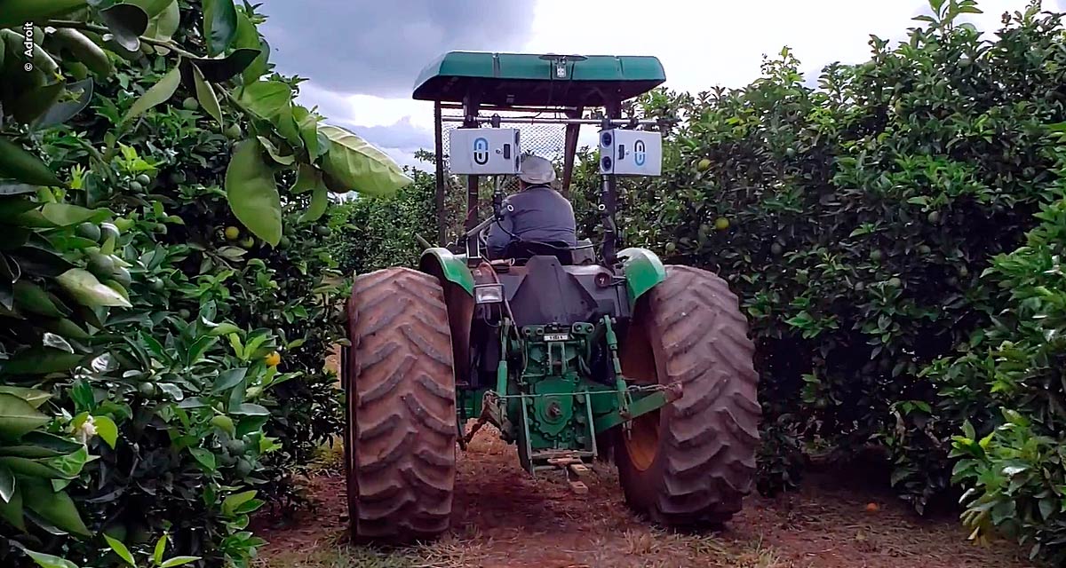 Mapeamento inédito nos pomares  de citros analisará a produtividade planta a planta em alta escala