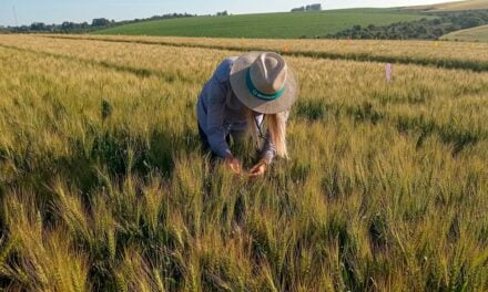 Debênture Verde: Biotrop investe R$ 92,5 milhões em sustentabilidade no primeiro ano