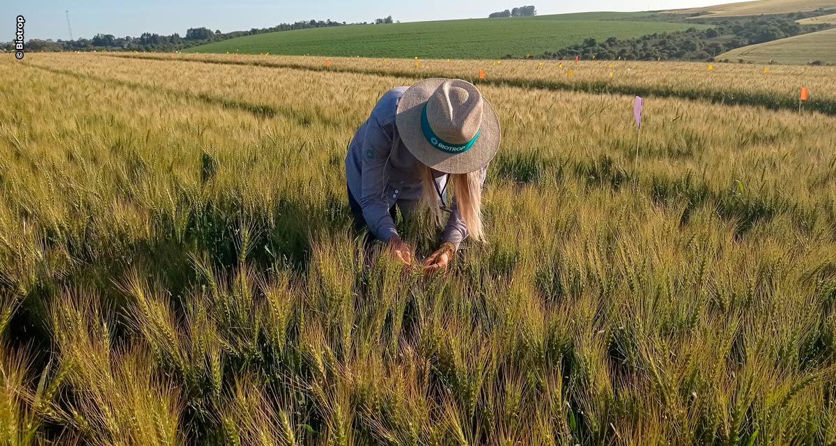 Debênture Verde: Biotrop investe R$ 92,5 milhões em sustentabilidade no primeiro ano