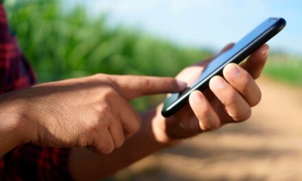 Grão Direto promove evento online sobre a comercialização digital de grãos e seu papel transformador para o agronegócio