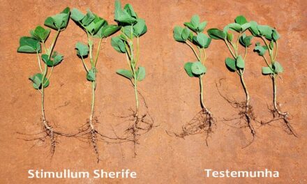 Novo fertilizante tem alta tecnologia para indução de resistência às plantas