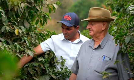 IHARA lança série especial para apreciadores de café