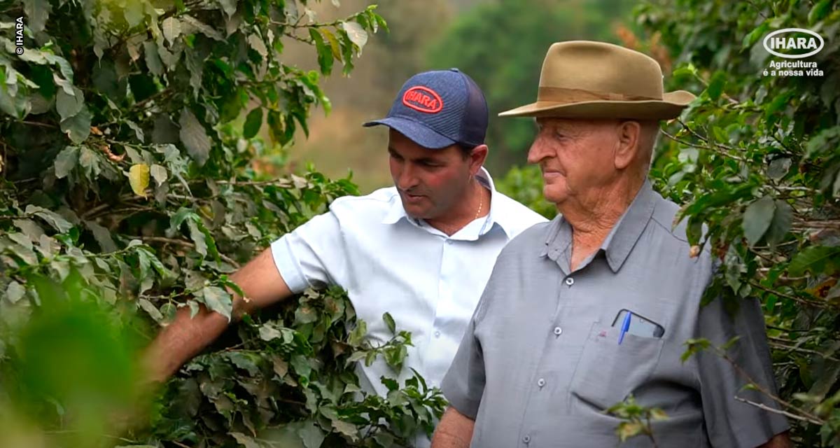 IHARA lança série especial para apreciadores de café