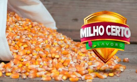 Campanha “Milho Certo Lavoro” pretende atingir a marca de R＄ 550 milhões em vendas de insumos agrícolas com operações de Barter