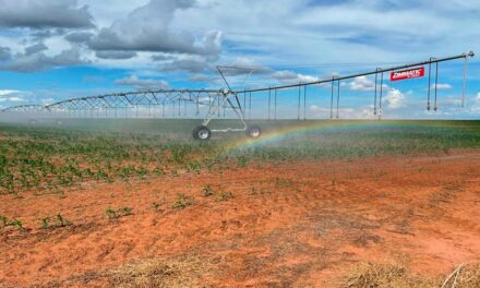 Projeto inédito de irrigação terá equipamentos movidos a energia solar