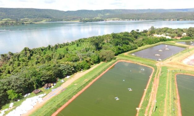 Fider Pescados amplia Área de Preservação Permanente, em Rifaina (SP), com o plantio de 15 mil árvores nativas