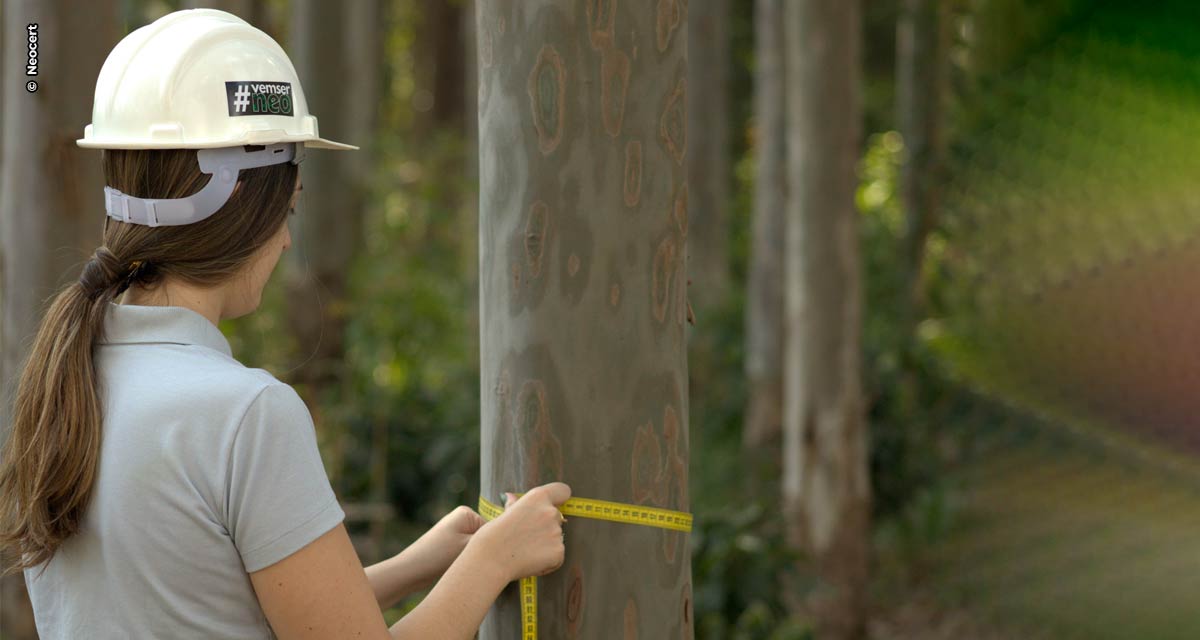 O selo FSC (do inglês, Forest - Árvore, Ser Tecnológico