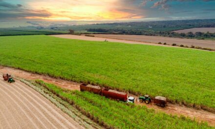 ORPLANA apresentará potencial brasileiro na produção de cana durante encontro mundial de produtores na Inglaterra