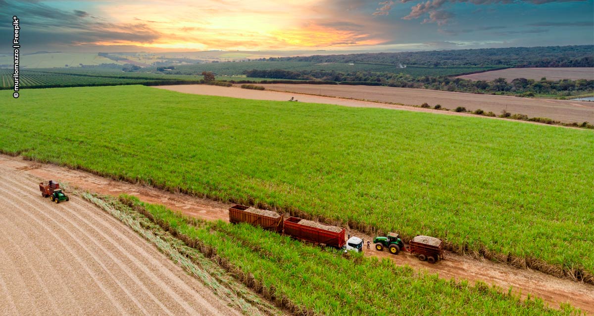 ORPLANA apresentará potencial brasileiro na produção de cana durante encontro mundial de produtores na Inglaterra