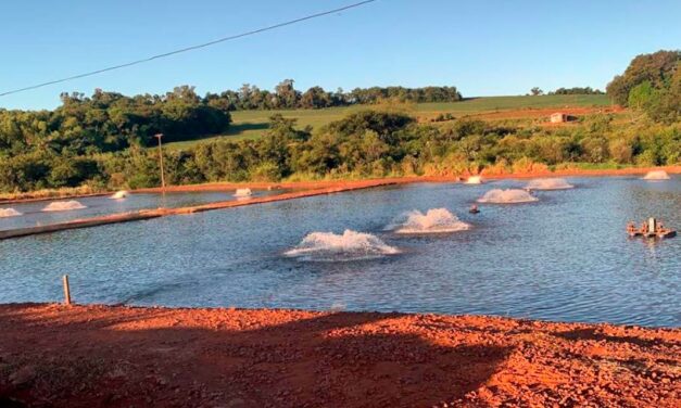 Biotech pretende conquistar presença entre 100% dos piscicultores paranaenses