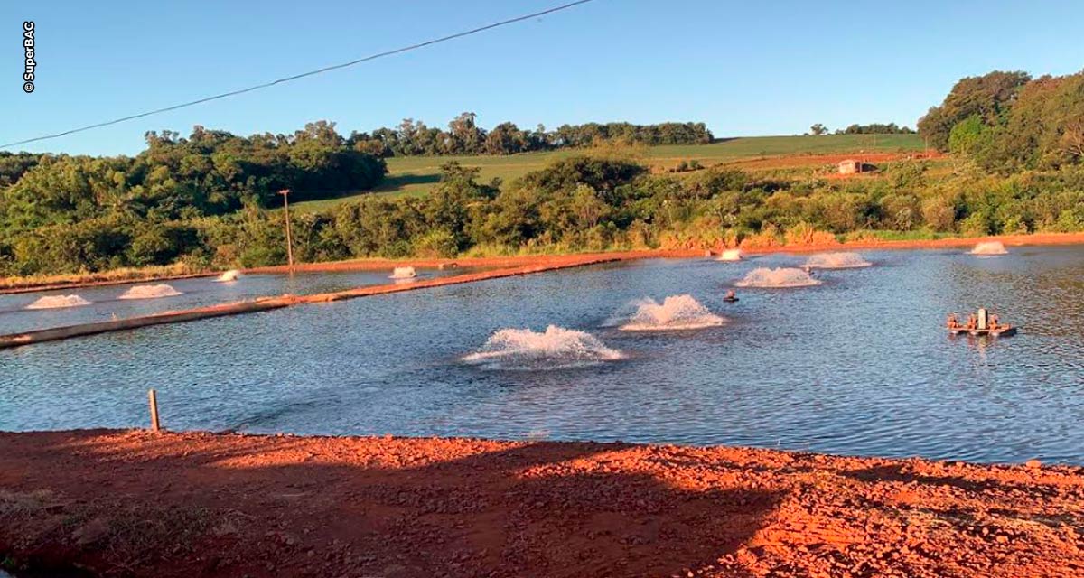 Biotech pretende conquistar presença entre 100% dos piscicultores paranaenses
