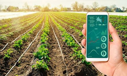 Trimble e AgTech Garage selecionam projetos de startups voltados ao agronegócio