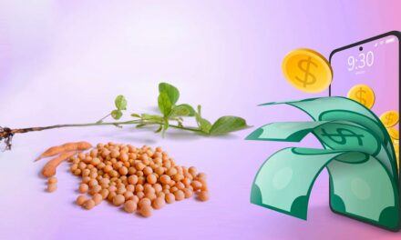 Grãos tokenizados prometem otimizar processos e levar melhorias para o agronegócio