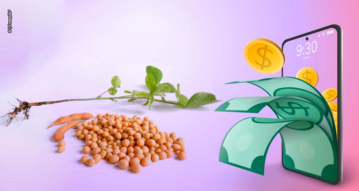 Grãos tokenizados prometem otimizar processos e levar melhorias para o agronegócio