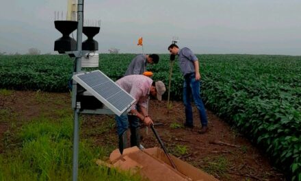 Tecnologia no campo é a chave para aumentar a produtividade da nova safra de grãos