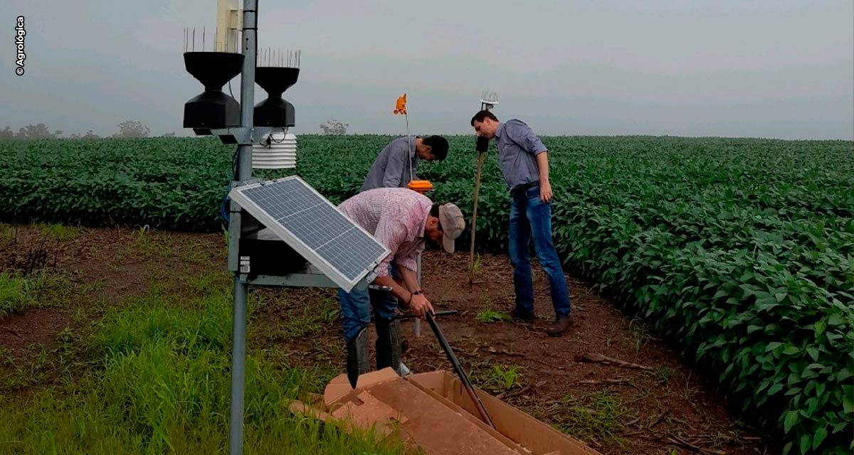 Tecnologia no campo é a chave para aumentar a produtividade da nova safra de grãos