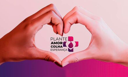 Plante Amor, Colha Esperança: Campanha Solidária pretende arrecadar mais de 65 toneladas de alimentos para entidades sociais
