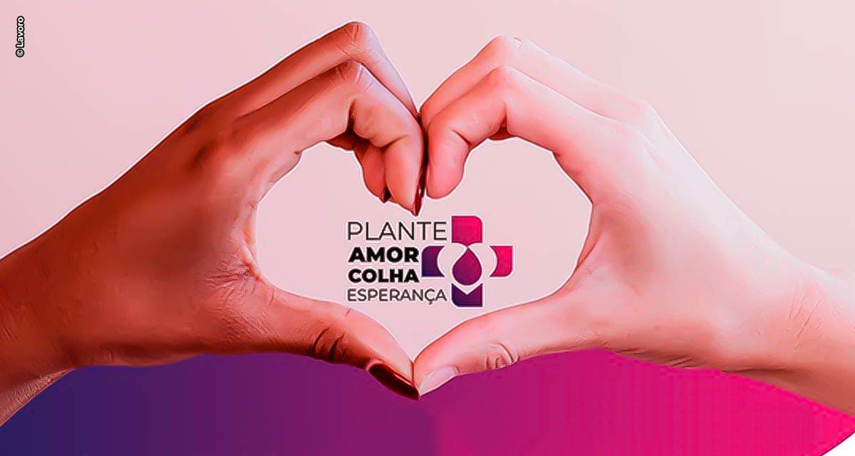 Plante Amor, Colha Esperança: Campanha Solidária pretende arrecadar mais de 65 toneladas de alimentos para entidades sociais
