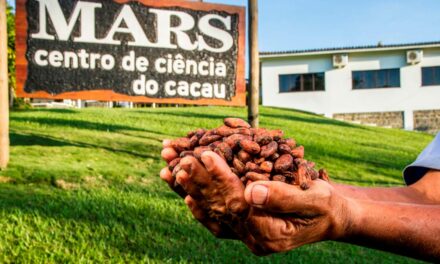 Mars comemora e apresenta os resultados da iniciativa Cacau para Gerações