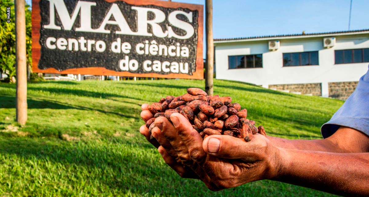 Mars comemora e apresenta os resultados da iniciativa Cacau para Gerações