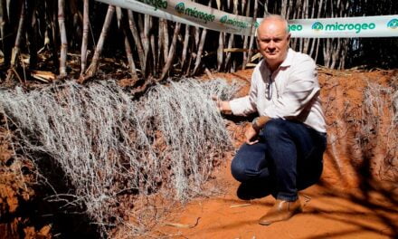 Vencedor nacional do Desafio Microbioma Brasil 2022 apresentou inovação no manejo biológico em cana-de-açúcar