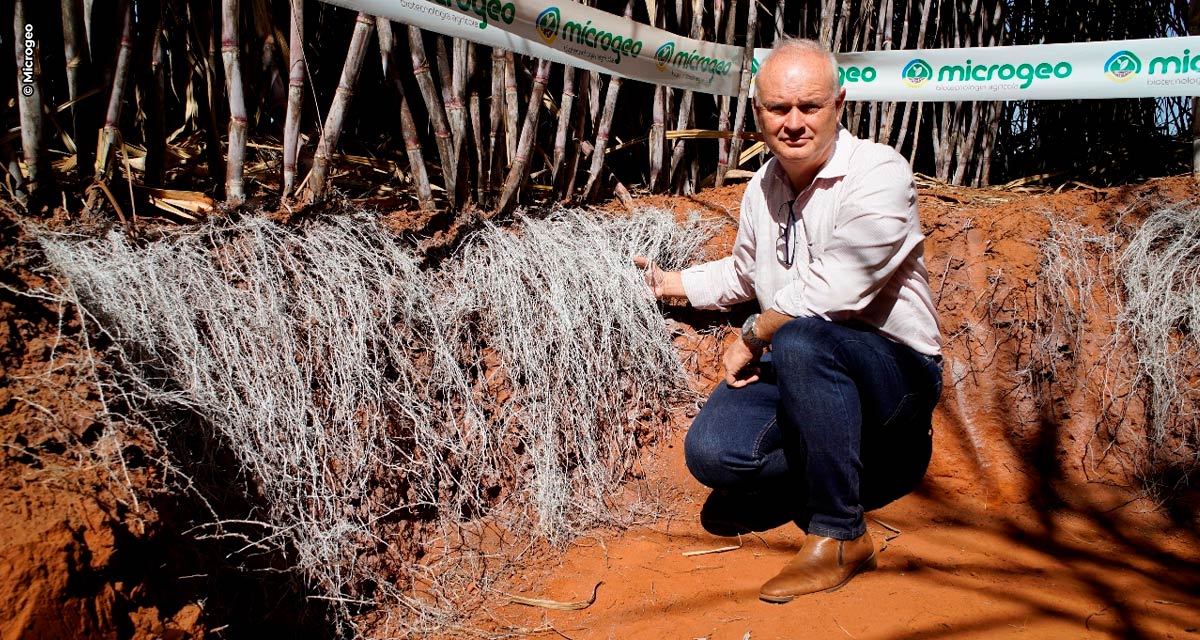 Vencedor nacional do Desafio Microbioma Brasil 2022 apresentou inovação no manejo biológico em cana-de-açúcar