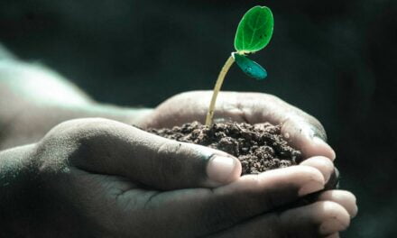 Dia Mundial do Solo 5/12: tecnologia é grande aliada na preservação do solo e aumento de produção nas lavouras