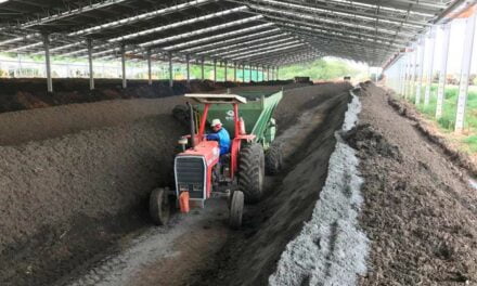 Após 12 anos da Política Nacional de Resíduos Sólidos, País ainda transforma pouco resíduo orgânico em fertilizantes