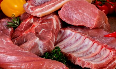Exportações de carne suína superam 100 mil toneladas em dezembro