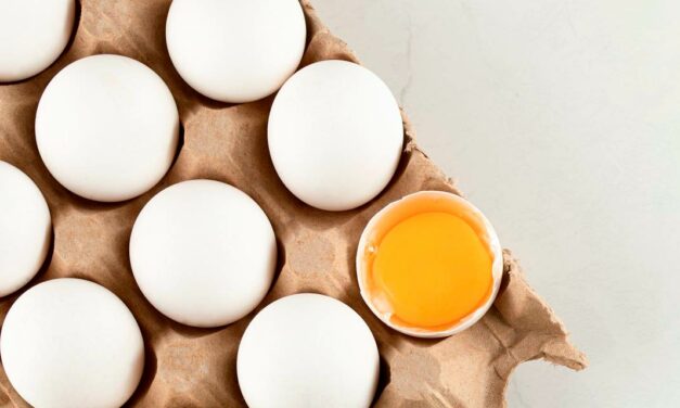 Exportações de ovos atinge 9,4 mil toneladas em 2022