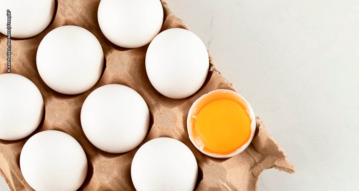 Exportações de ovos atinge 9,4 mil toneladas em 2022