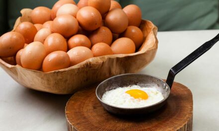 Accor assume compromisso para eliminar ovos que não sejam de galinhas livres até 2025 em seus hotéis na América do Sul