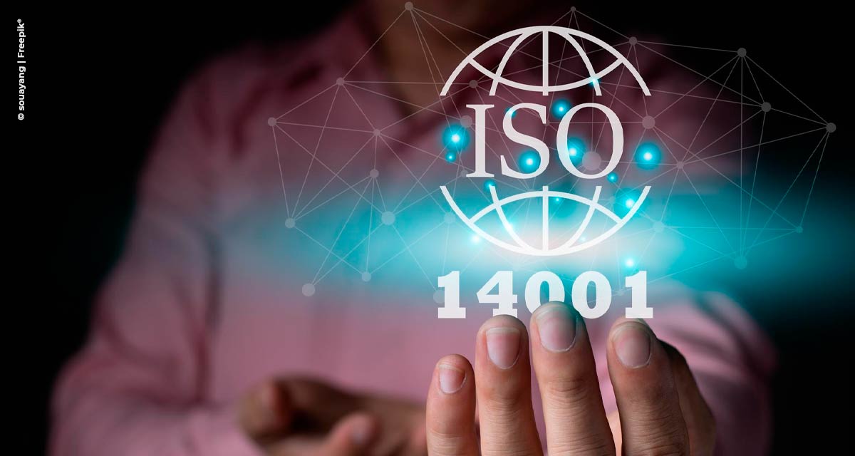 A norma ISO 14001 e o competitivo mercado da sustentabilidade