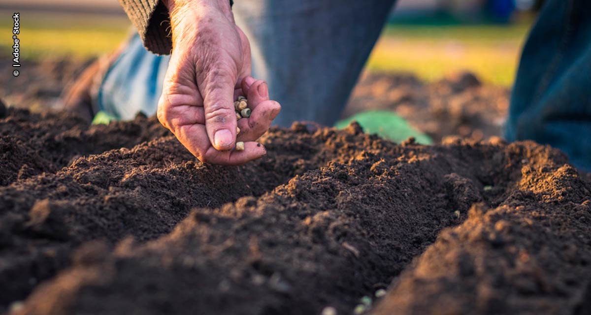 Bayer, em parceria com a CAR, promove inclusão socioprodutiva de agricultores familiares da Bahia