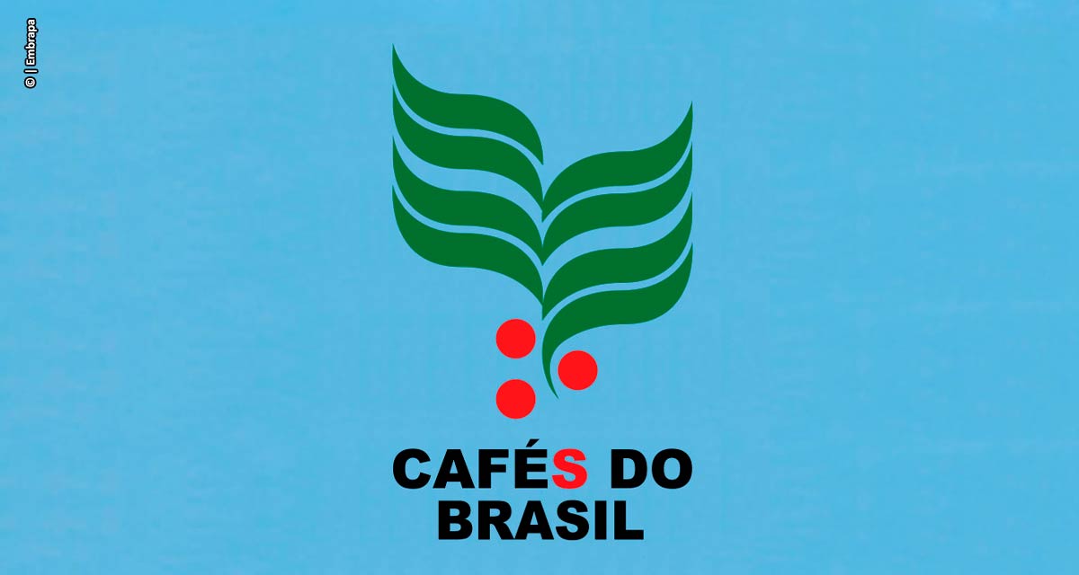 Faturamento das lavouras dos Cafés do Brasil alcança R$ 56 bilhões em 2022