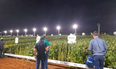 Cooperativa Frísia realiza Dia de Campo noturno para produtores de soja
