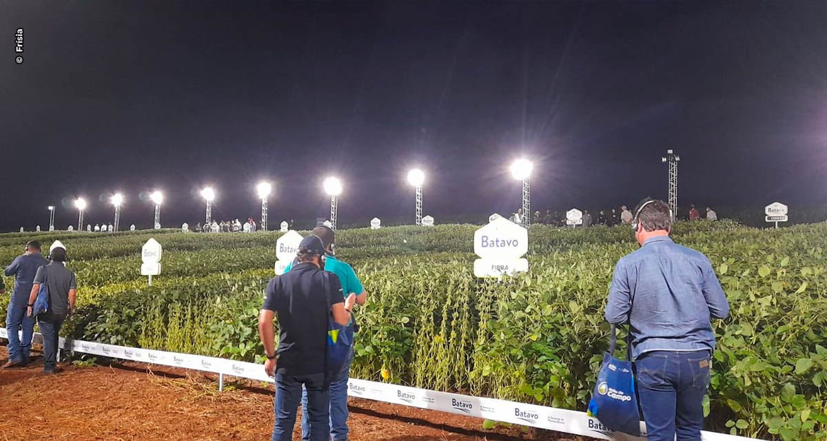 Cooperativa Frísia realiza Dia de Campo noturno para produtores de soja