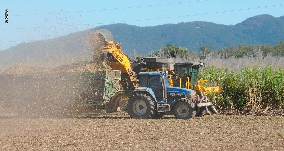 Suporte técnico é o caminho para capacitação da mão de obra no campo