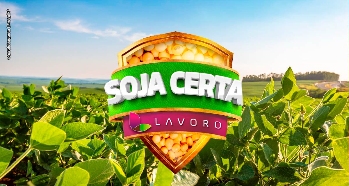 Com a campanha “Soja Certa”, Lavoro pretende atingir a marca de R$ 700 milhões em vendas de insumos agrícolas com operações de Barter